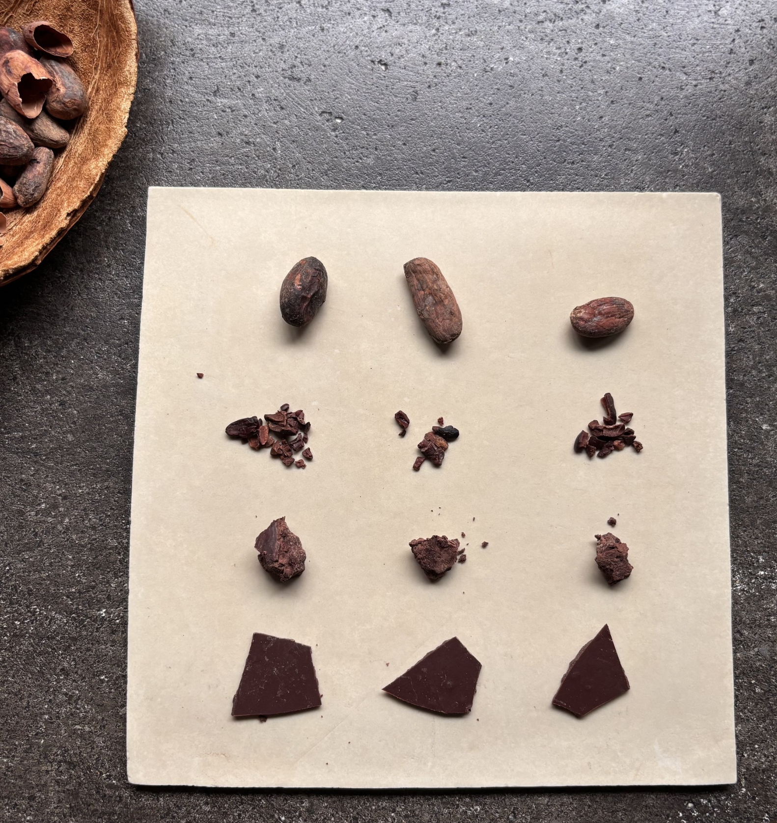 Lives Chocolate